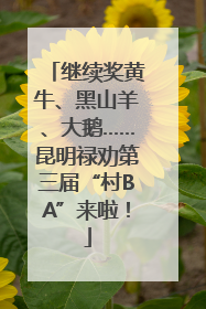 继续奖黄牛、黑山羊、大鹅……昆明禄劝第三届“村BA”来啦！