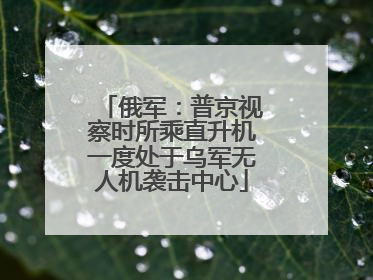 俄军：普京视察时所乘直升机一度处于乌军无人机袭击中心