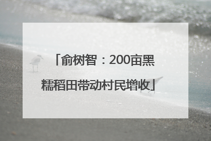 俞树智：200亩黑糯稻田带动村民增收