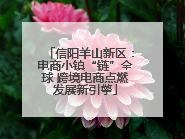 信阳羊山新区：电商小镇“链”全球 跨境电商点燃发展新引擎