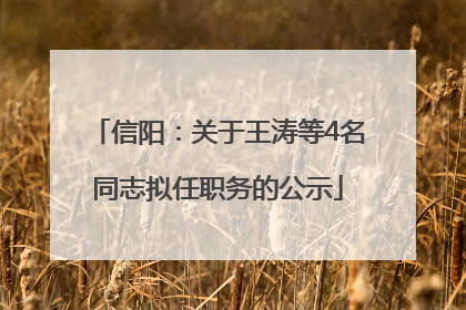 信阳：关于王涛等4名同志拟任职务的公示
