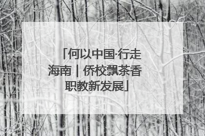 何以中国·行走海南｜侨校飘茶香 职教新发展