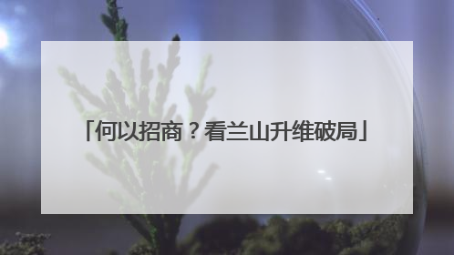 何以招商？看兰山升维破局
