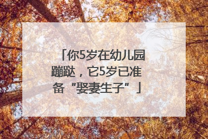 你5岁在幼儿园蹦跶，它5岁已准备“娶妻生子”