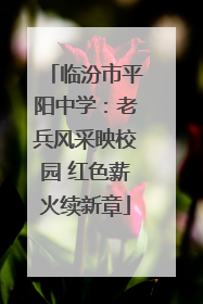 临汾市平阳中学：老兵风采映校园 红色薪火续新章