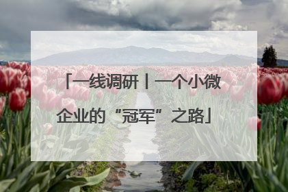 一线调研丨一个小微企业的“冠军”之路