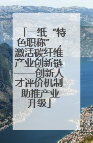 一纸“特色职称”，激活碳纤维产业创新链——创新人才评价机制 助推产业升级