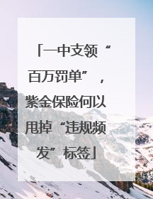 一中支领“百万罚单”，紫金保险何以甩掉“违规频发”标签