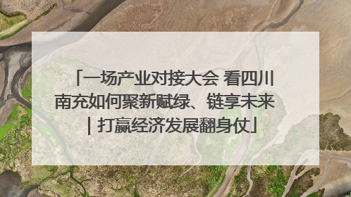一场产业对接大会 看四川南充如何聚新赋绿、链享未来｜打赢经济发展翻身仗