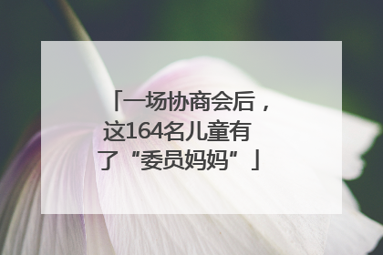 一场协商会后，这164名儿童有了“委员妈妈”