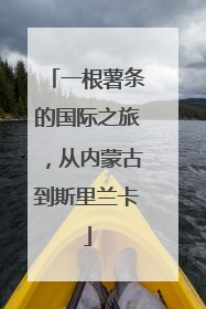 一根薯条的国际之旅，从内蒙古到斯里兰卡