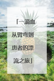 一滴血从臂弯到患者的漂流之旅