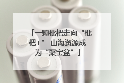一颗枇杷走向“枇杷+” 山海资源成为“聚宝盆”
