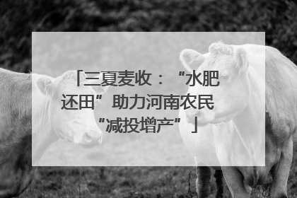 三夏麦收：“水肥还田”助力河南农民“减投增产”