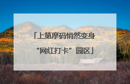 上第摩码悄然变身“网红打卡”园区