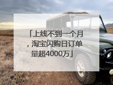 上线不到一个月，淘宝闪购日订单量超4000万