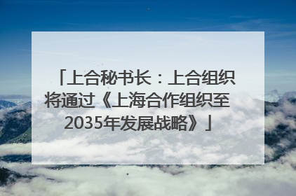 上合秘书长：上合组织将通过《上海合作组织至2035年发展战略》