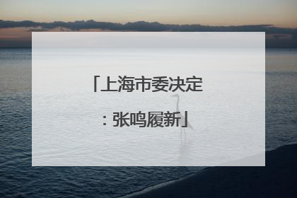 上海市委决定：张鸣履新