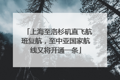 上海至洛杉矶直飞航班复航，至中亚国家航线又将开通一条