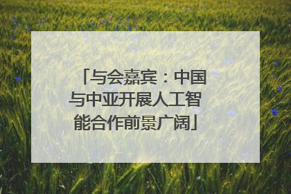 与会嘉宾：中国与中亚开展人工智能合作前景广阔
