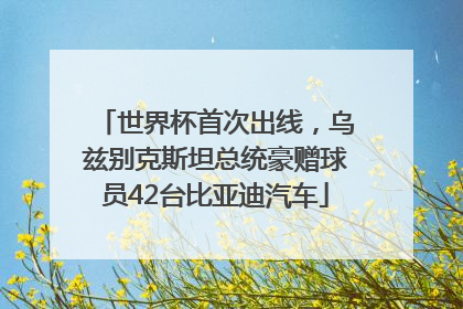 世界杯首次出线，乌兹别克斯坦总统豪赠球员42台比亚迪汽车