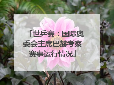 世乒赛：国际奥委会主席巴赫考察赛事运行情况