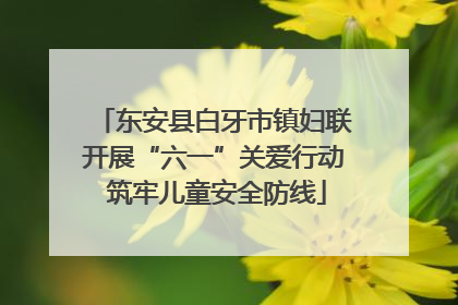 东安县白牙市镇妇联开展“六一”关爱行动 筑牢儿童安全防线