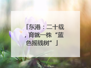 东港：二十载，育就一株“蓝色摇钱树”