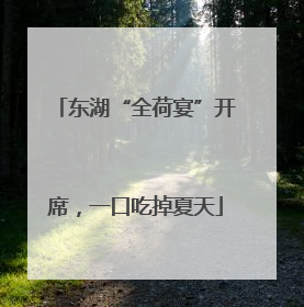 东湖“全荷宴”开席，一口吃掉夏天