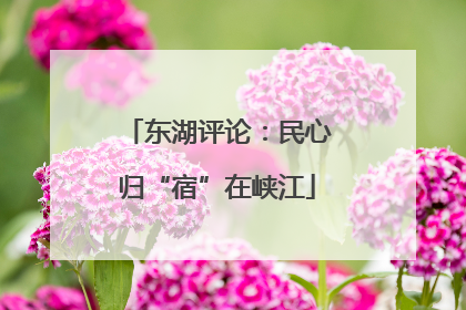 东湖评论：民心归“宿”在峡江