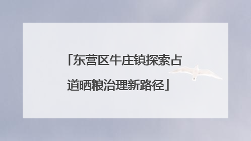 东营区牛庄镇探索占道晒粮治理新路径