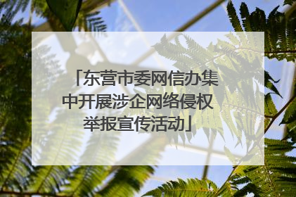 东营市委网信办集中开展涉企网络侵权举报宣传活动