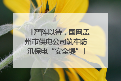 严阵以待，国网孟州市供电公司筑牢防汛保电“安全堤”