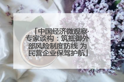 中国经济微观察·专家谈构：筑抵御外部风险制度防线 为民营企业保驾护航