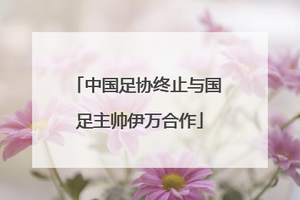 中国足协终止与国足主帅伊万合作