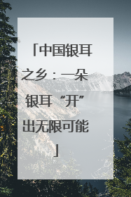 中国银耳之乡：一朵银耳“开”出无限可能