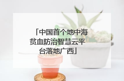 中国首个地中海贫血防治智慧云平台落地广西
