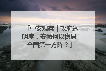 中安观察｜政府透明度，安徽何以稳居全国第一方阵？