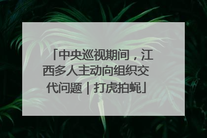 中央巡视期间，江西多人主动向组织交代问题｜打虎拍蝇