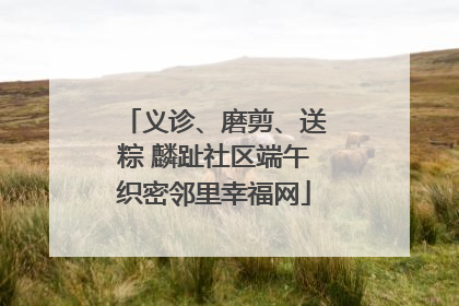 义诊、磨剪、送粽 麟趾社区端午织密邻里幸福网