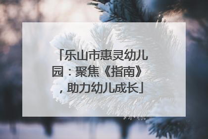 乐山市惠灵幼儿园：聚焦《指南》，助力幼儿成长