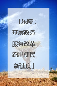 乐陵：基层政务服务改革跑出便民新速度