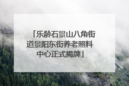 乐龄石景山八角街道景阳东街养老照料中心正式揭牌