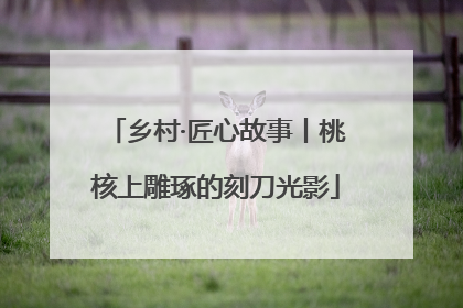 乡村·匠心故事丨桃核上雕琢的刻刀光影