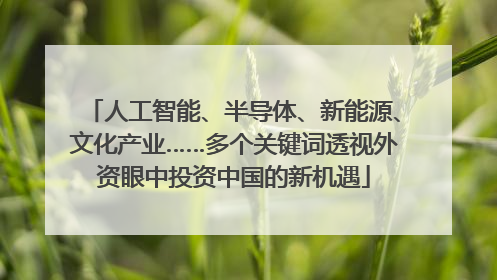人工智能、半导体、新能源、文化产业……多个关键词透视外资眼中投资中国的新机遇