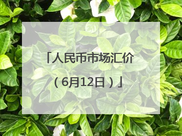 人民币市场汇价（6月12日）