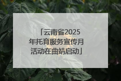云南省2025年托育服务宣传月活动在曲靖启动