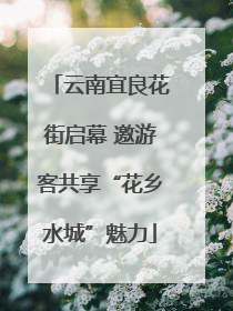 云南宜良花街启幕 邀游客共享“花乡水城”魅力