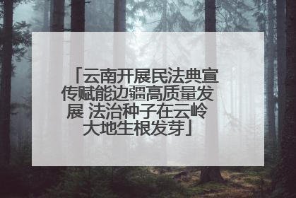 云南开展民法典宣传赋能边疆高质量发展 法治种子在云岭大地生根发芽