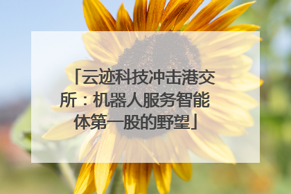 云迹科技冲击港交所：机器人服务智能体第一股的野望